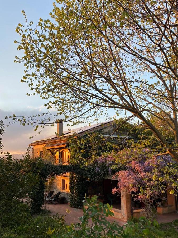 Agriturismo Solidor Pitigliano Bagian luar foto
