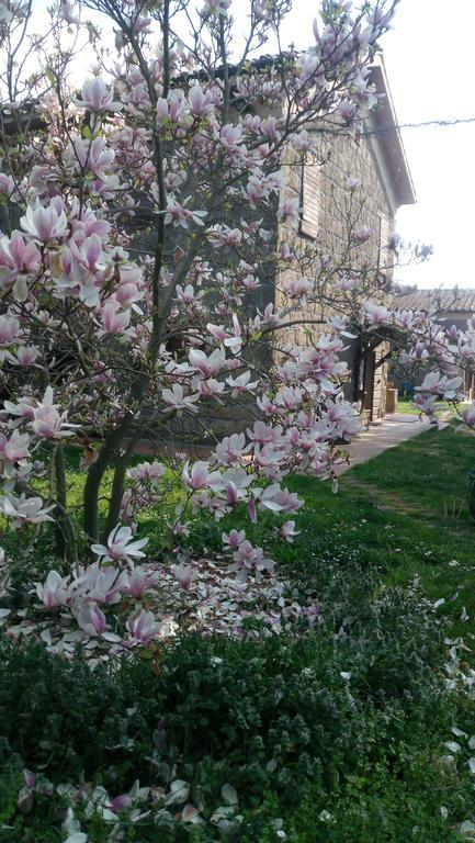 Agriturismo Solidor Pitigliano Bagian luar foto