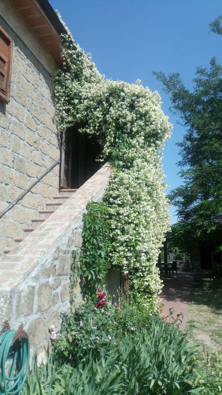 Agriturismo Solidor Pitigliano Bagian luar foto