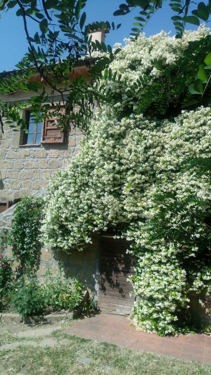 Agriturismo Solidor Villa Pitigliano Bagian luar foto